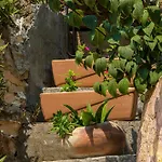 Golden Niche دوبروفينك